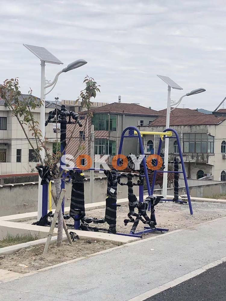 浙江紹興諸暨星羽路燈