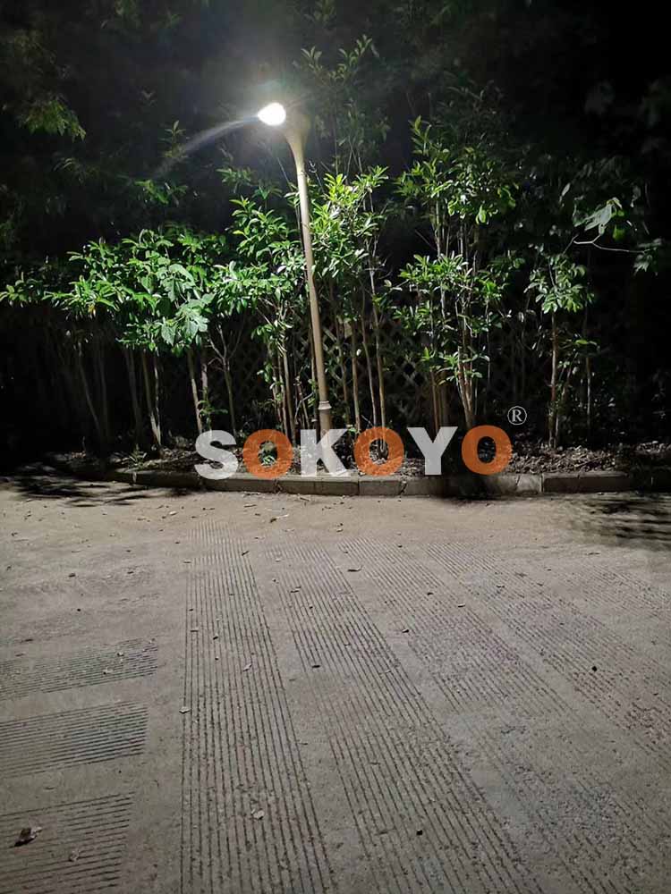 江蘇蘇州某小區3m220V紅掌市電庭院燈